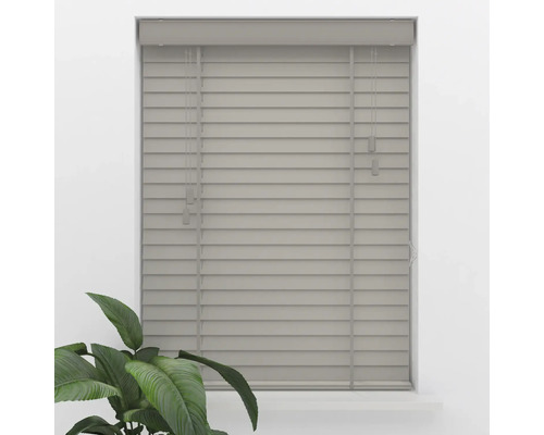 Graue Jalousie mit breiten Leiterbändern im Fensterrahmen, helle und aufgeräumte Atmosphäre mit einer Zimmerpflanze.