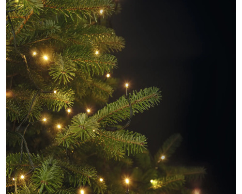 Nahaufnahme von grünen Tannenzweigen mit einer warmweißen LED-Lichterkette.