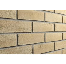 Beige Verblendsteine in Ziegeloptik mit rauer Oberfläche und grauen Fugen.