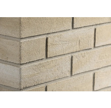 Nahaufnahme einer Mauer aus beigen Verblendsteinen mit rauer Textur und grauen Mörtelfugen an einer Hausecke.