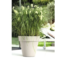 Beigefarbener Pflanzkübel mit grünem Lampenputzergras auf einer hellen Terrasse neben einer weißen Gartenliege.