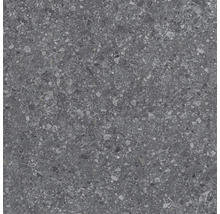 Feinsteinzeugfliese mit Terrazzo-Optik in Dunkelgrau mit hellen Einschlüssen.
