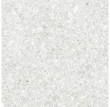 Bodenfliese in heller Terrazzo-Optik mit feiner Körnung und Steinfragmenten.