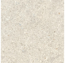Feinsteinzeugfliese in Terrazzo-Optik mit feinen Steineinschlüssen.