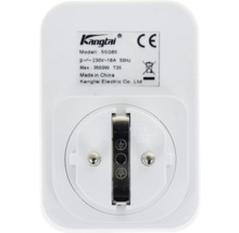 Rückseite eines Kangtai Zwischensteckers Modell 55085 mit technischen Daten wie 230 Volt und 16 Ampere, CE-Kennzeichnung und Entsorgungssymbol.