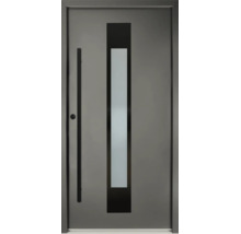 Moderne Hauseingangstür in Anthrazit mit vertikalem Lichtausschnitt aus Glas und schwarzer Stoßgriffstange.