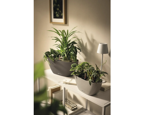 Zwei ovale Lechuza Pflanzgefäße mit grünen Zimmerpflanzen auf einem weißen Regal in einem hellen, modern eingerichteten Raum.