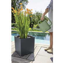 Eine Person bewässert eine Pflanze in einem dunkelgrauen quadratischen Pflanzgefäß mit einer grünen Gießkanne auf einer Terrasse am Pool.