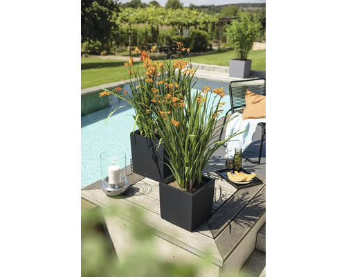 Zwei quadratische anthrazitfarbene Pflanzgefäße mit orangefarbenen Blumen auf einer Holzterrasse neben einem Pool im Garten.