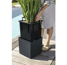 Person hebt einen schwarzen Pflanzeinsatz mit Griffen aus einem quadratischen Pflanzkübel auf einer Holzterrasse.