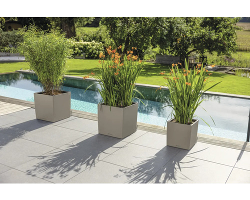 Drei quadratische Pflanzkübel auf einer Terrasse am Pool mit grünem Bambus und orangefarbenen Blumen im Garten.