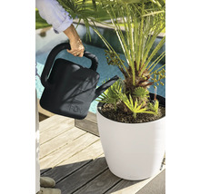 Eine Person gießt mit einer Gießkanne eine Palme in einem Pflanzgefäß auf einer Holzterrasse neben einem Swimmingpool.