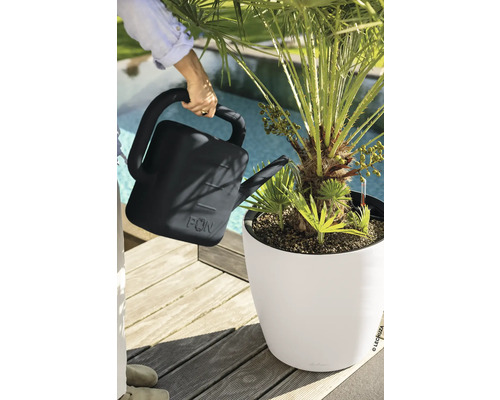 Eine Person gießt mit einer Gießkanne eine Palme in einem Pflanzgefäß auf einer Holzterrasse neben einem Swimmingpool.