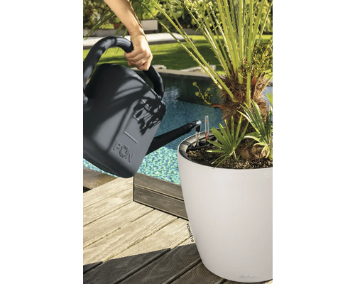 Bewässerung einer Palme in einem weißen Lechuza Pflanzkübel mit einer anthrazitfarbenen Gießkanne auf einer Holzterrasse am Pool.