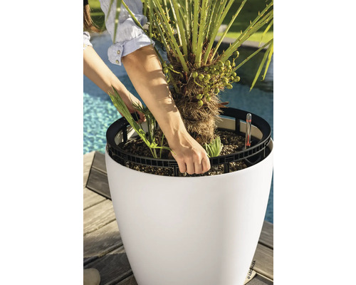 Eine Person hebt einen Pflanzeinsatz mit einer Palme aus einem runden weißen Pflanzgefäß mit Bewässerungssystem im hellen Außenbereich.