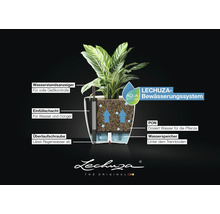 Infografik zum Lechuza-Bewässerungssystem mit Wasserstandsanzeiger, Einfüllschacht, Überlaufschraube, PON und Wasserspeicher. Lechuza Logo.