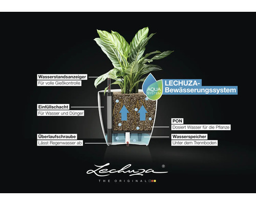 Infografik zum Lechuza-Bewässerungssystem mit Wasserstandsanzeiger, Einfüllschacht, Überlaufschraube, PON und Wasserspeicher. Lechuza Logo.