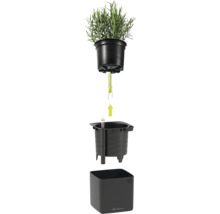 Einzelteile eines Lechuza Bewässerungssystems bestehend aus Kräutertopf mit Docht, Einsatz mit Wasserstandsanzeiger und quadratischem Übertopf.