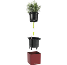 Explosionszeichnung eines Lechuza Bewässerungssystems mit Kräutertopf, Docht, Pflanzeinsatz mit Wasserstandsanzeiger und rotem Übertopf.