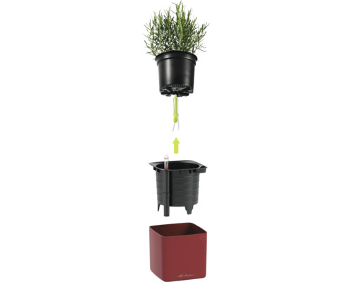 Explosionszeichnung eines Lechuza Bewässerungssystems mit Kräutertopf, Docht, Pflanzeinsatz mit Wasserstandsanzeiger und rotem Übertopf.