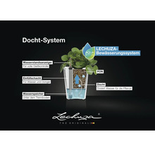 Querschnitt des Lechuza Docht-Bewässerungssystems mit Anzeige, Einfüllschacht, Wasserspeicher, PON-Substrat und Docht. Lechuza Logo.