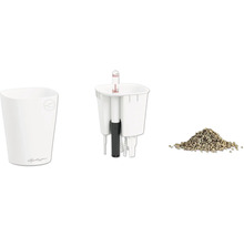 Lechuza Bewässerungssystem Set bestehend aus weißem Pflanzgefäß mit Lechuza Logo, Pflanzeinsatz mit Wasserstandsanzeiger und Pflanzsubstrat.