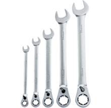 Ringmaulschlüsselsatz mit Ratschenfunktion, 5-teilig, Größen 8 Millimeter, 10 Millimeter, 13 Millimeter, 17 Millimeter und 19 Millimeter.