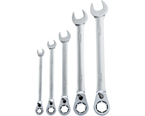 Ringmaulschlüsselsatz mit Ratschenfunktion, 5-teilig, Größen 8 Millimeter, 10 Millimeter, 13 Millimeter, 17 Millimeter und 19 Millimeter.