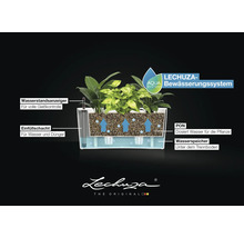 Querschnitt eines Lechuza-Pflanzkastens mit Aqua-Bewässerungssystem, Wasserstandsanzeiger, Einfüllschacht und Wasserspeicher.