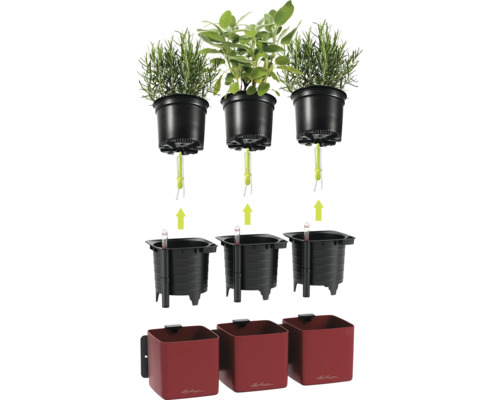 Lechuza Kräutertopf-System mit Docht-Bewässerung, bestehend aus drei roten Übertöpfen, Innenbehältern mit Wasserstandsanzeiger und Docht-Sticks.