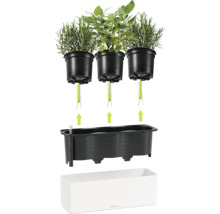 Lechuza Kräuterkasten mit Bewässerungssystem, Docht-System, Wasserstandsanzeiger und drei Pflanztöpfen für Kräuter.