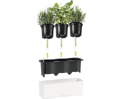 Lechuza Kräuterkasten mit Bewässerungssystem, Docht-System, Wasserstandsanzeiger und drei Pflanztöpfen für Kräuter.