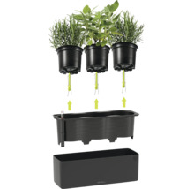 Lechuza Selbstbewässerungssystem für drei Kräutertöpfe mit Docht-Bewässerung, schwarzem Einsatz mit Wasserstandsanzeiger und rechteckigem Pflanzgefäß.