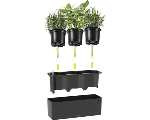 Lechuza Selbstbewässerungssystem für drei Kräutertöpfe mit Docht-Bewässerung, schwarzem Einsatz mit Wasserstandsanzeiger und rechteckigem Pflanzgefäß.