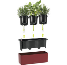Lechuza Kräuterkasten mit Docht-Bewässerungssystem, inklusive drei Kulturtöpfen, Wasserstandsanzeiger und granatrotem Pflanzkasten.