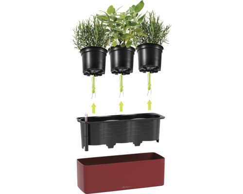 Lechuza Kräuterkasten mit Docht-Bewässerungssystem, inklusive drei Kulturtöpfen, Wasserstandsanzeiger und granatrotem Pflanzkasten.