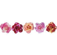 Fünf verschiedene Rosenblüten mit unterschiedlichen Mustern und Blütenblattformen.