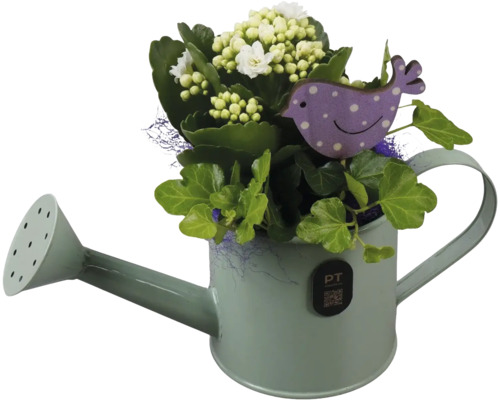 Blumengesteck mit weißer Kalanchoe und grünem Efeu in einer dekorativen Gießkanne aus Metall mit lilafarbenem Vogelstecker.