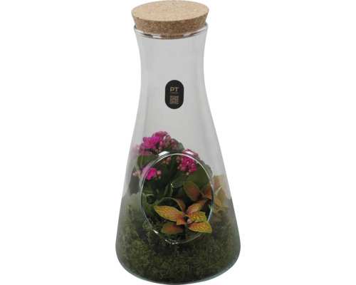 Glasterrarium in Karaffenform mit Korkverschluss, bepflanzt mit Kalanchoe, Fittonia und Moos, PT creations Logo.