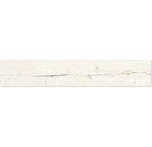 Weiße Holzstruktur mit ausgeprägter Maserung und einem durchgehenden horizontalen Riss.