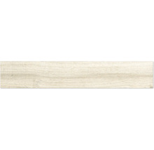 Paneel in heller Holzoptik mit feiner horizontaler Maserung.