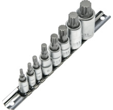 Vielzahn-Bitsatz XZN 9-teilig aus Chrom-Vanadium-Stahl auf Halteschiene.