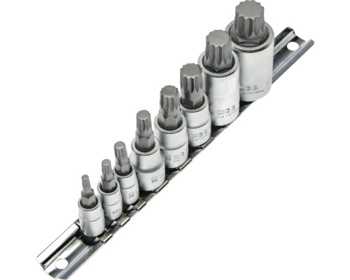 Vielzahn-Bitsatz XZN 9-teilig aus Chrom-Vanadium-Stahl auf Halteschiene.