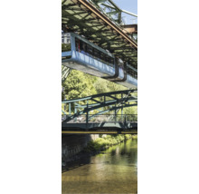 Wuppertaler Schwebebahn fährt über einem Fluss unter einer Stahlkonstruktion mit Bäumen im Hintergrund.