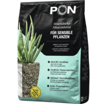 Mineralisches Pflanzsubstrat Lechuza PON für sensible Pflanzen, torffrei, zur optimalen Wurzelbelüftung und Vorbeugung von Trauermücken.