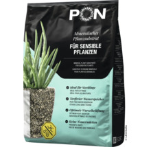 Lechuza-Pon Mineralisches Pflanzsubstrat für sensible Pflanzen, torffrei, Schutz vor Trauermücken, optimale Wurzelbelüftung.
