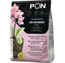 Lechuza-PON Spezialsubstrat für Orchideen, vorgedüngt, torffrei, fördert Wurzelwachstum und Blütenbildung, beugt Staunässe vor.