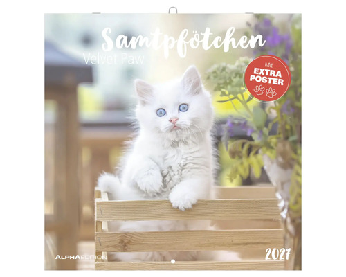 Wandkalender 2027 Samtpfötchen mit weißem Kätzchen in einer Holzkiste, extra Poster und Alpha Edition Logo.