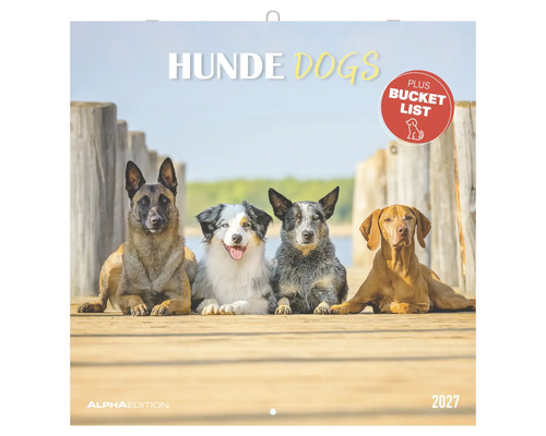 Alpha Edition Wandkalender Hunde 2027 mit vier verschiedenen Hunden auf einem Holzsteg.