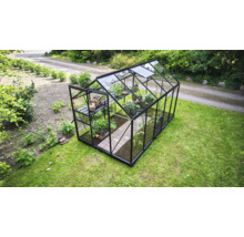 Modernes Gewächshaus mit schwarzem Aluminiumrahmen und Glaswänden im Garten, ausgestattet mit Regalen und Pflanzen.